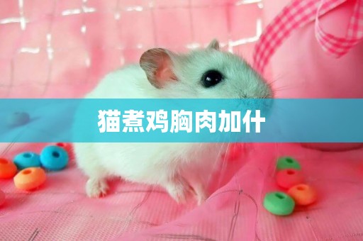 貓煮雞胸肉加什