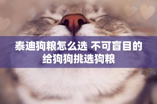 泰迪狗糧怎么選 不可盲目的給狗狗挑選狗糧 泰迪狗糧怎么選 不可盲目的給狗狗挑選狗糧