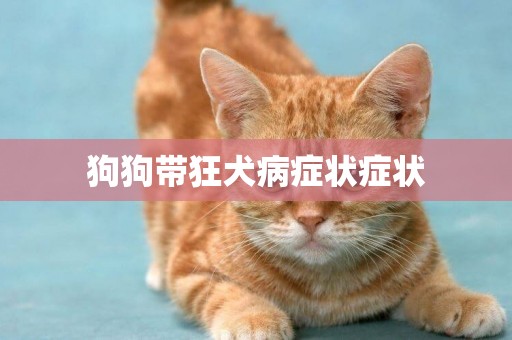 狗狗帶狂犬病癥狀癥狀