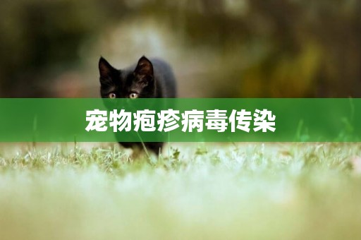 寵物皰疹病毒傳染
