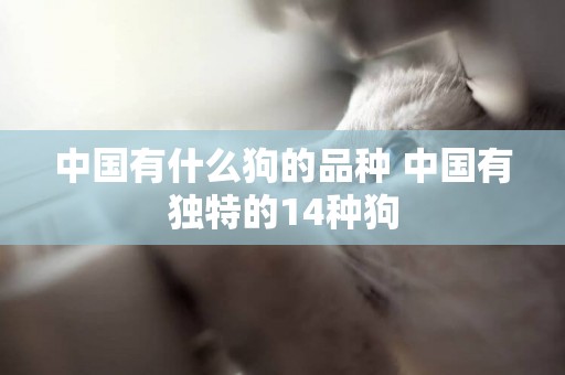 中國有什么狗的品種 中國有獨特的14種狗
