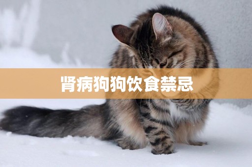 腎病狗狗飲食禁忌