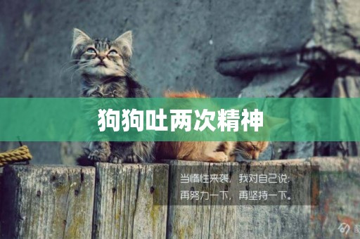狗狗吐兩次精神