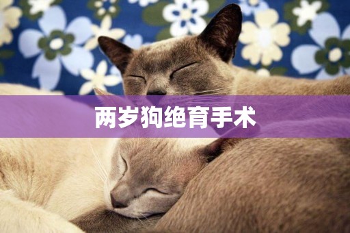 兩歲狗絕育手術