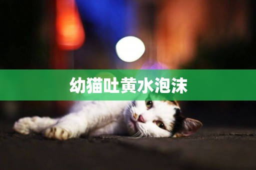 幼貓吐黃水泡沫