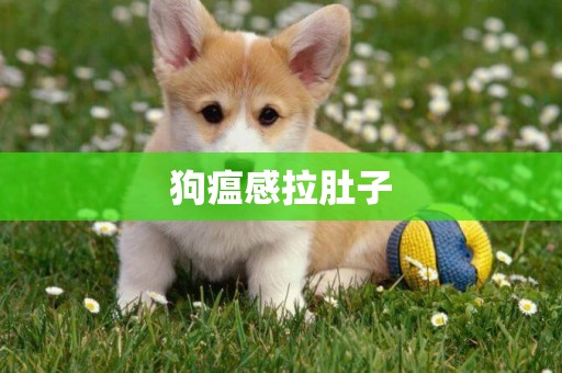 狗瘟感拉肚子