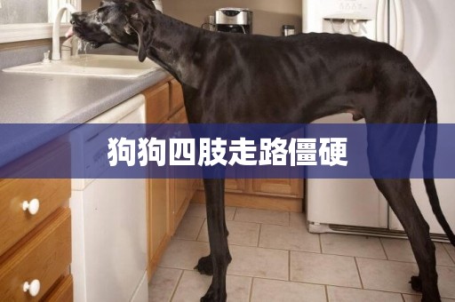 狗狗四肢走路僵硬