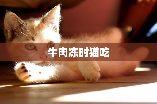 牛肉凍時貓吃