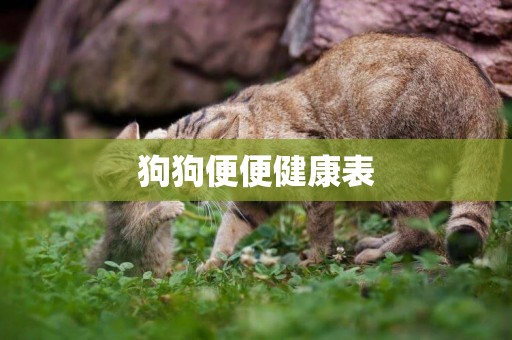 狗狗便便健康表