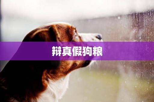 辯真假狗糧