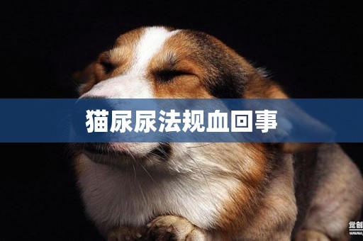 貓尿尿法規血回事