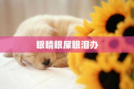 眼睛眼屎眼淚辦