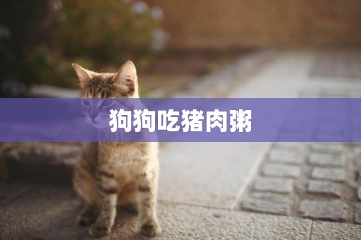 狗狗吃豬肉粥