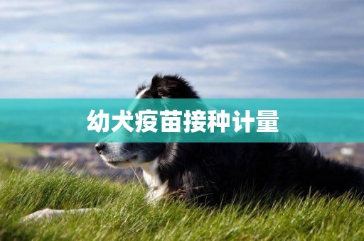 幼犬疫苗接種計量