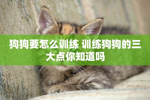 狗狗要怎么訓練 訓練狗狗的三大點你知道嗎 狗狗要怎么訓練 訓練狗狗的三大點你知道嗎
