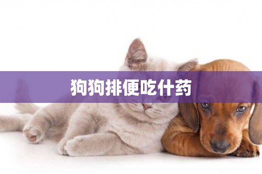 狗狗排便吃什藥