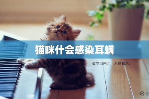 貓咪什會感染耳螨