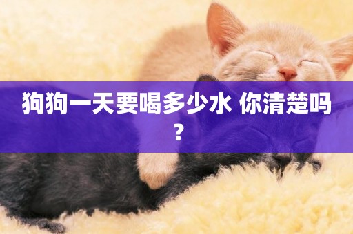 狗狗一天要喝多少水 你清楚嗎？