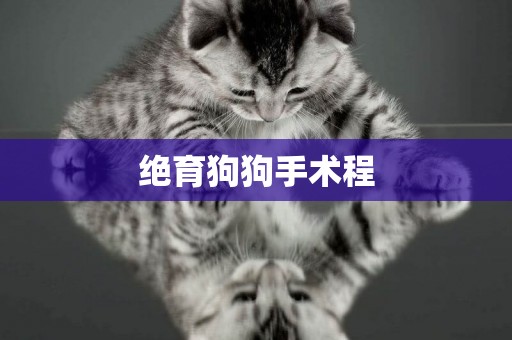 絕育狗狗手術程