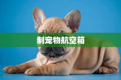 制寵物航空箱