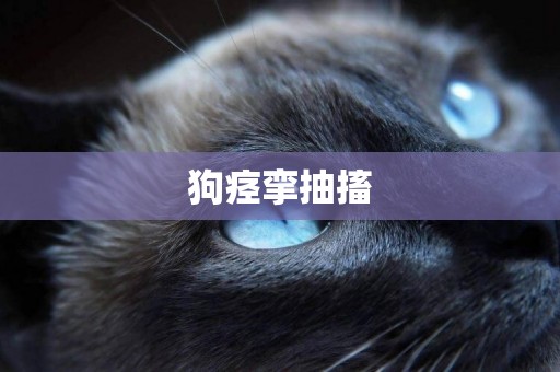 狗痙攣抽搐