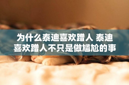 為什么泰迪喜歡蹭人 泰迪喜歡蹭人不只是做尷尬的事情！