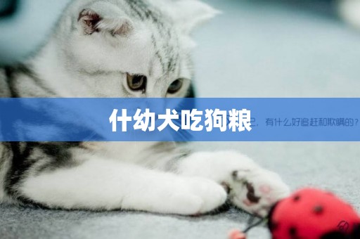 什幼犬吃狗糧