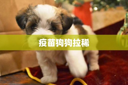 疫苗狗狗拉稀