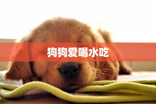 狗狗愛喝水吃