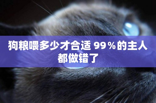 狗糧喂多少才合適 99％的主人都做錯了