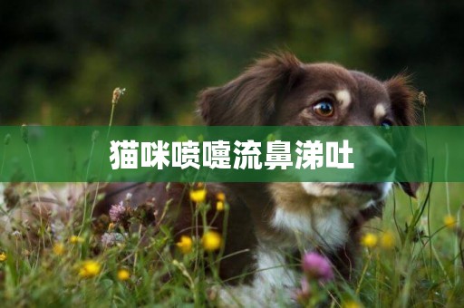 貓咪噴嚏流鼻涕吐