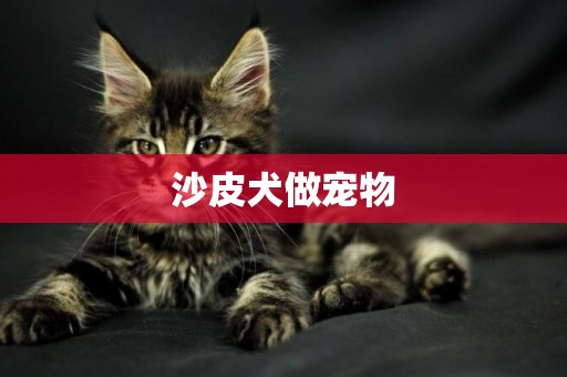 沙皮犬做寵物