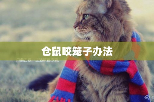 倉鼠咬籠子辦法