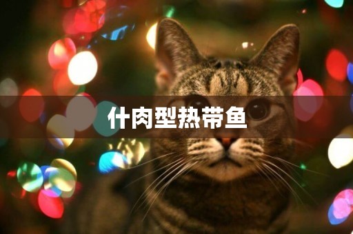 什肉型熱帶魚