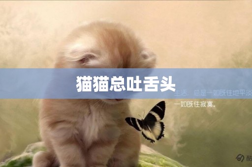 貓貓總吐舌頭