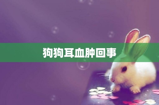 狗狗耳血腫回事