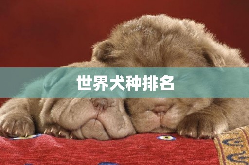 世界犬種排名