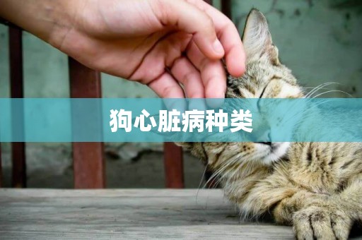 狗心臟病種類