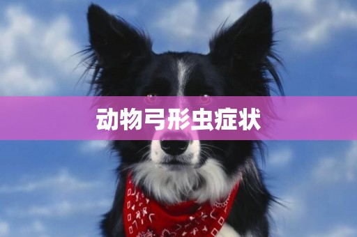 動物弓形蟲癥狀