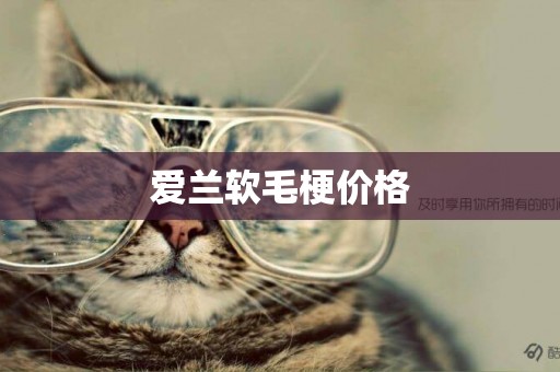 愛蘭軟毛梗價格