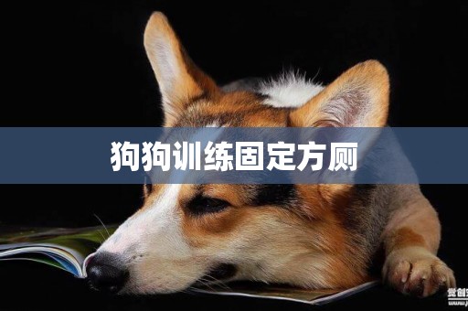 狗狗訓練固定方廁