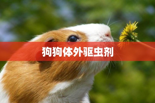 狗狗體外驅蟲劑