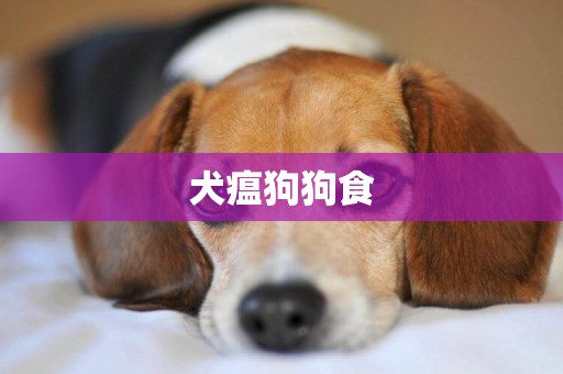 犬瘟狗狗食