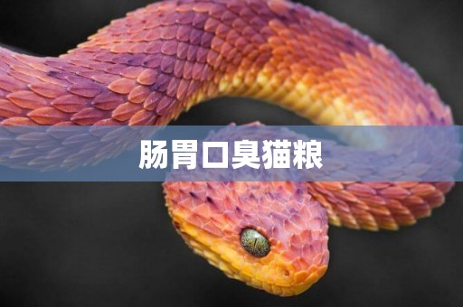 腸胃口臭貓糧