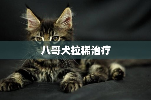 八哥犬拉稀治療