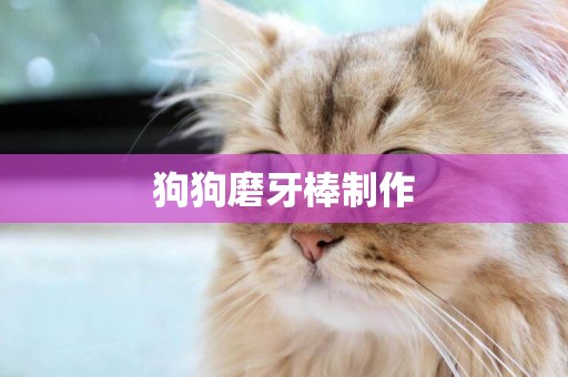 狗狗磨牙棒制作