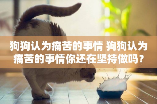 狗狗認為痛苦的事情 狗狗認為痛苦的事情你還在堅持做嗎？