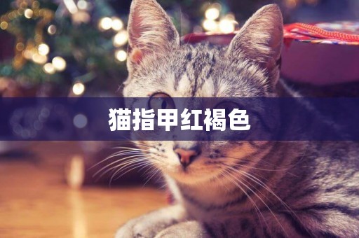 貓指甲紅褐色