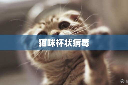 貓咪杯狀病毒