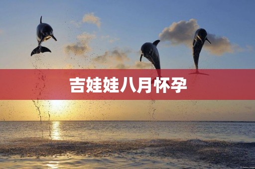 吉娃娃八月懷孕
